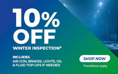 Winter Vehicle Inspection